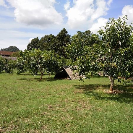 Harum Manis Country House Kangar Dış mekan fotoğraf